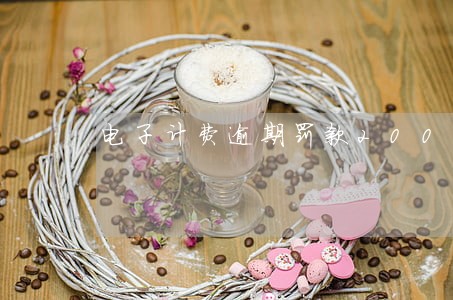 电子计费逾期罚款200 电子计费逾期罚款200