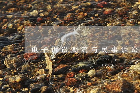 电子诉讼潮流与民事诉讼法的应对 电子诉讼潮流与民事诉讼法的应对
