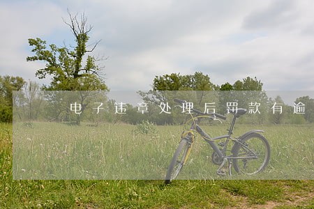 电子违章处理后罚款有逾期吗 电子违章处理后罚款有逾期吗