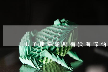 电子违章逾期有没有滞纳金 电子违章逾期有没有滞纳金