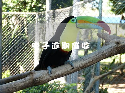 电子逾期催收 电子逾期催收