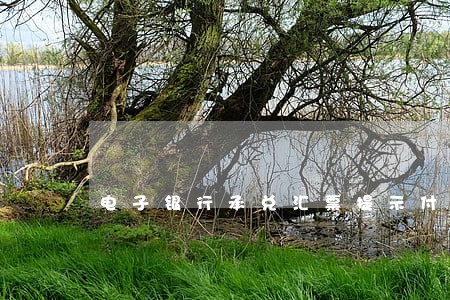 电子银行承兑汇票提示付款逾期了 电子银行承兑汇票提示付款逾期了