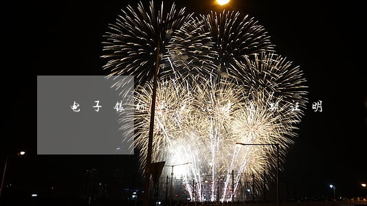 电子银行承兑汇票逾期证明 电子银行承兑汇票逾期证明