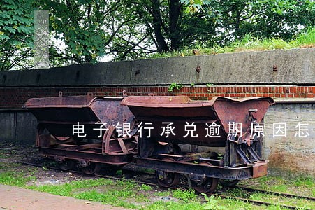 电子银行承兑逾期原因怎么写 电子银行承兑逾期原因怎么写