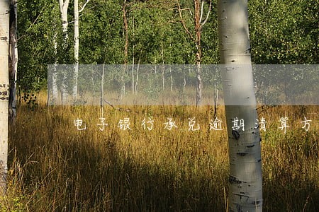 电子银行承兑逾期清算方式 电子银行承兑逾期清算方式