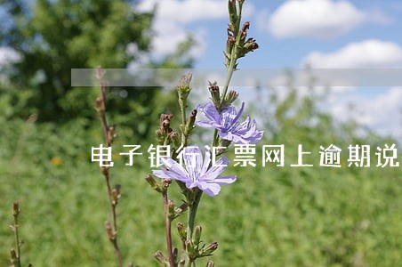 电子银行汇票网上逾期说明怎么弄 电子银行汇票网上逾期说明怎么弄