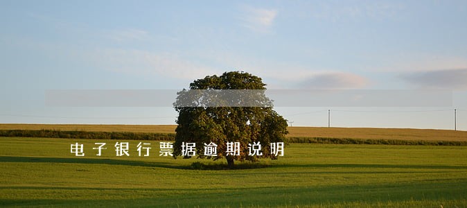 电子银行票据逾期说明 电子银行票据逾期说明