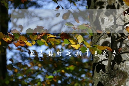 电子银行逾期了怎么办 电子银行逾期了怎么办