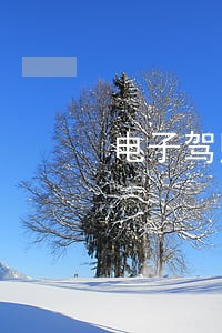 电子驾照有违法未处理吗 电子驾照有违法未处理吗