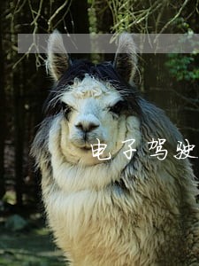 电子驾驶证状态显示违法未处理