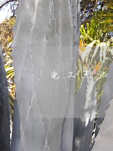 电工无证上岗是违章还是违法 电工无证上岗是违章还是违法