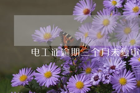 电工证逾期三个月未复审的 电工证逾期三个月未复审的