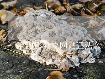 电影分享网站违法么 电影分享网站违法么