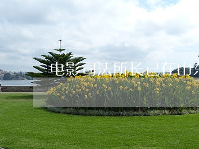 电影司法所长已在山东平阴开机 电影司法所长已在山东平阴开机