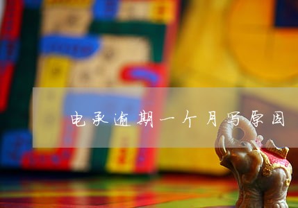 电承逾期一个月写原因 电承逾期一个月写原因