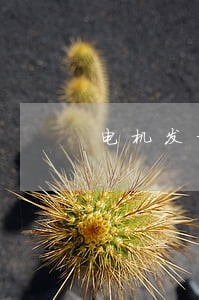 电机发标准法规综述 电机发标准法规综述
