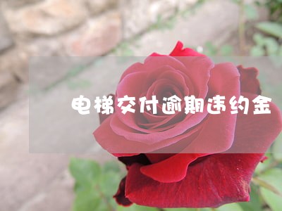 电梯交付逾期违约金 电梯交付逾期违约金