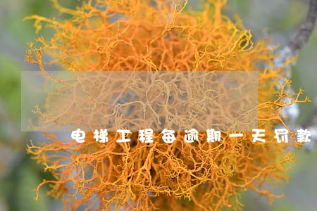 电梯工程每逾期一天罚款多少 电梯工程每逾期一天罚款多少