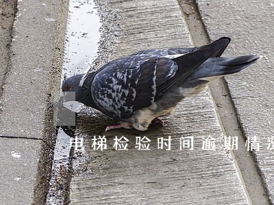 电梯检验时间逾期情况说明书 电梯检验时间逾期情况说明书