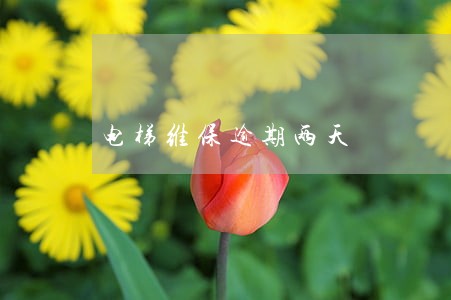 电梯维保逾期两天
