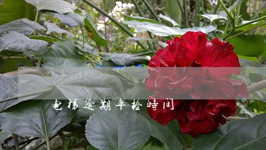 电梯逾期年检时间 电梯逾期年检时间
