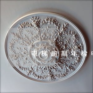 电梯逾期年检申请说明 电梯逾期年检申请说明