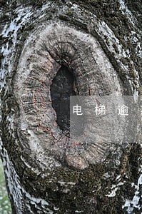 电梯逾期提货通知函 电梯逾期提货通知函