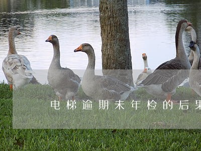 电梯逾期未年检的后果 电梯逾期未年检的后果