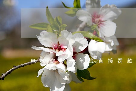 电梯逾期未年检直接罚款 电梯逾期未年检直接罚款