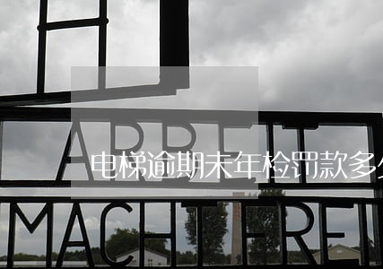 电梯逾期未年检罚款多少钱 电梯逾期未年检罚款多少钱