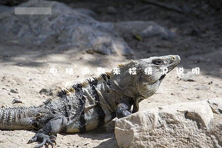 电梯逾期未检情况说明 电梯逾期未检情况说明