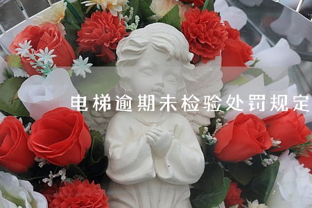 电梯逾期未检验处罚规定 电梯逾期未检验处罚规定