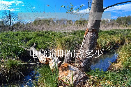 电梯逾期罚款多少 电梯逾期罚款多少