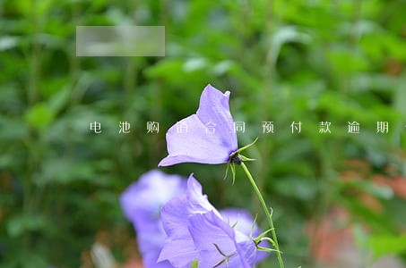电池购销合同预付款逾期付款 电池购销合同预付款逾期付款