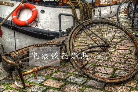 电狼钱包逾期 电狼钱包逾期