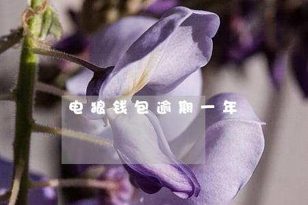 电狼钱包逾期一年