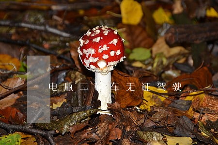 电瓶二轮车无证驾驶 电瓶二轮车无证驾驶