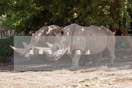 电瓶车搭人违法 电瓶车搭人违法