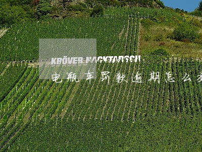 电瓶车罚款逾期怎么交钱 电瓶车罚款逾期怎么交钱