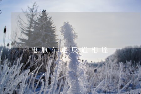 电瓶车走反道相撞 电瓶车走反道相撞