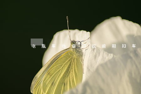 电瓶车违章罚款逾期扣车 电瓶车违章罚款逾期扣车