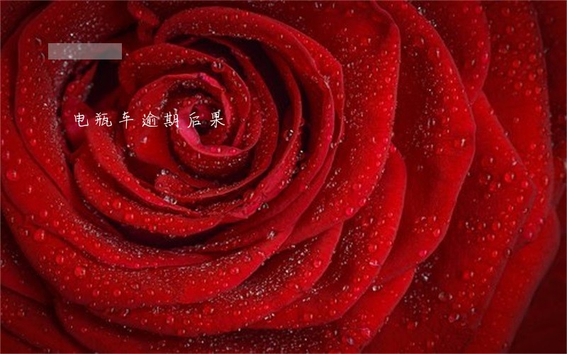 电瓶车逾期后果 电瓶车逾期后果