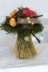 电瓶车长时间逾期 电瓶车长时间逾期