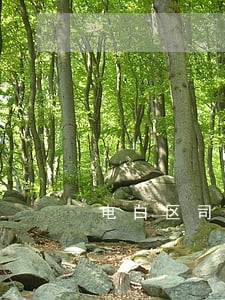 电白区司法