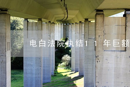 电白法院执结11年巨额债务案 电白法院执结11年巨额债务案
