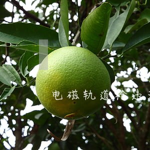 电磁轨道枪违法嘛 电磁轨道枪违法嘛