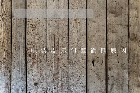 电票提示付款逾期原因 电票提示付款逾期原因