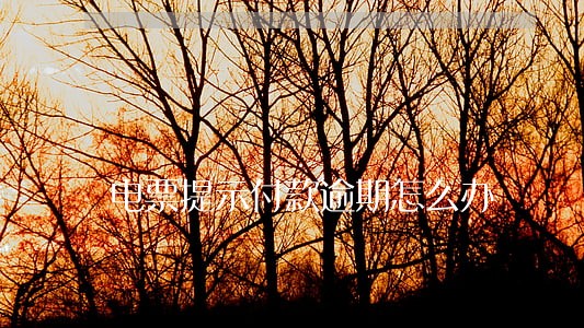 电票提示付款逾期怎么办 电票提示付款逾期怎么办