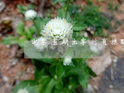 电票逾期出票行有提醒义务吗 电票逾期出票行有提醒义务吗