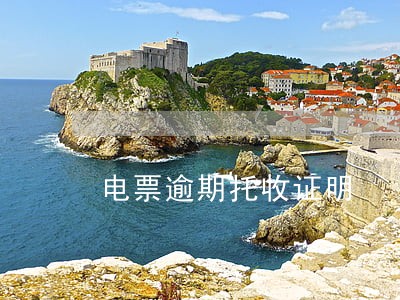 电票逾期托收证明 电票逾期托收证明